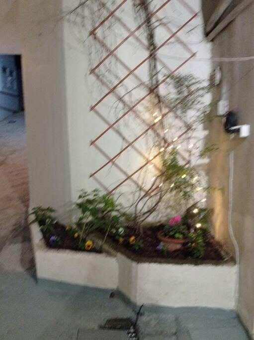 Trikala Alex House Apartment Exterior photo